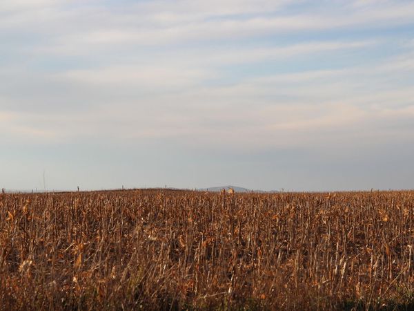 274th Street & 323rd Avenue, Winner, SD 57580