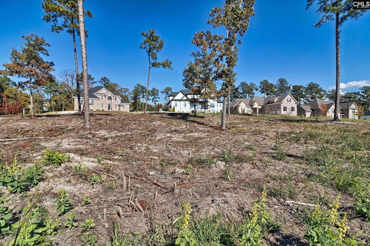 183 Coopers Nursery Rd Photo 4