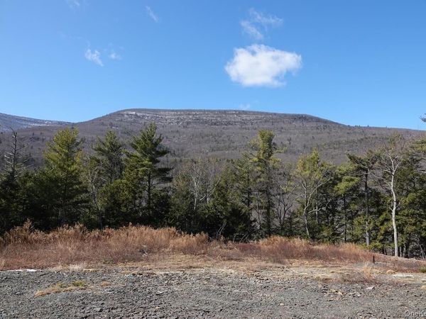 Tbd Manorville Road, Saugerties, NY 12477