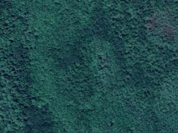 NO NAME, OAK HILL, FL 32759