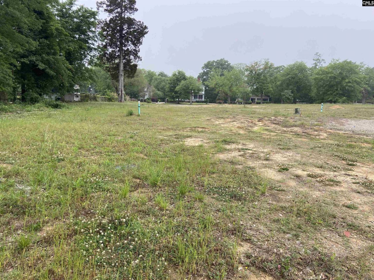 1301 Fair Street Photo 7