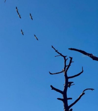 5209 Western Drive, Saint James City, FL 33956 Photo