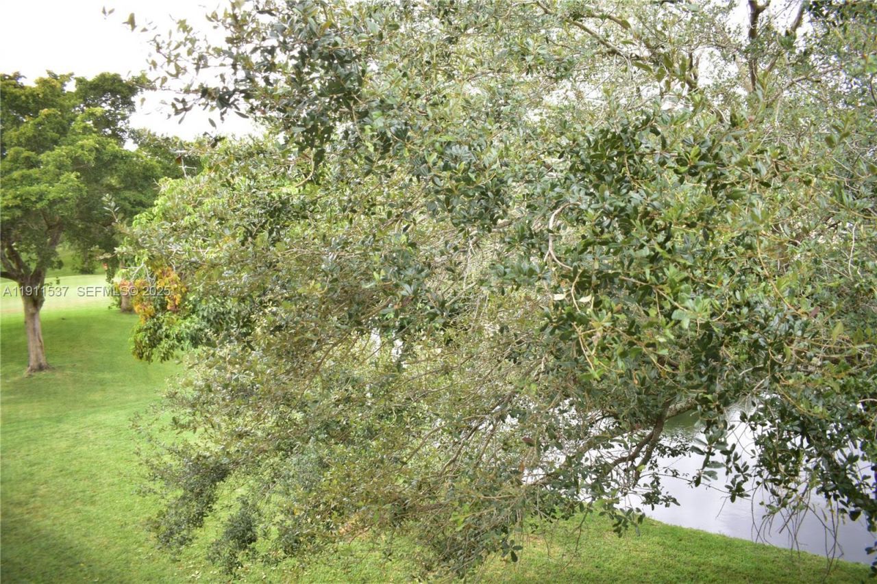 9301 Sunrise Lakes Blvd, Unit 303, Sunrise, FL 33322 Photo