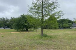 1313 Fair Street photo 4