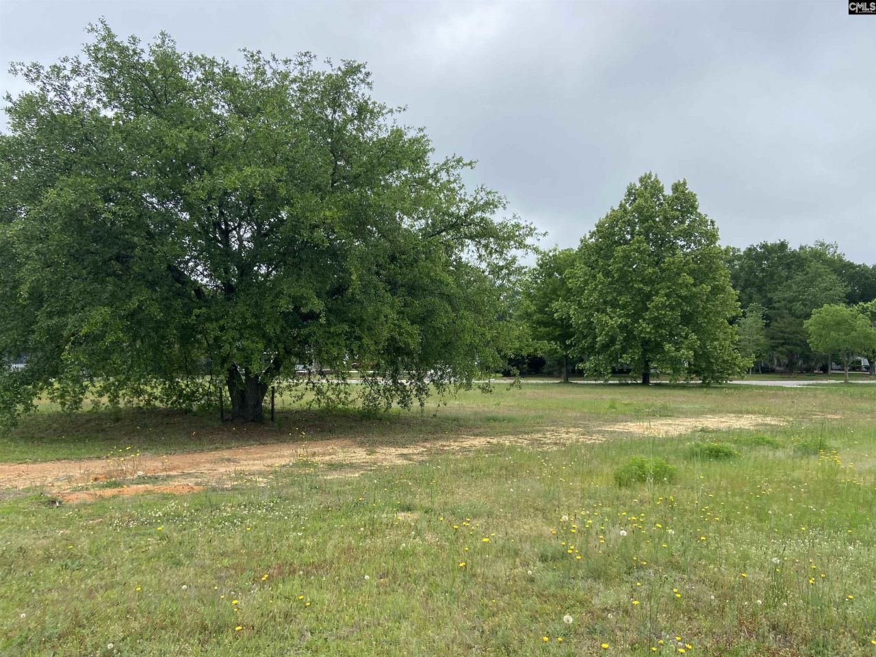 1313 Fair Street Photo 4