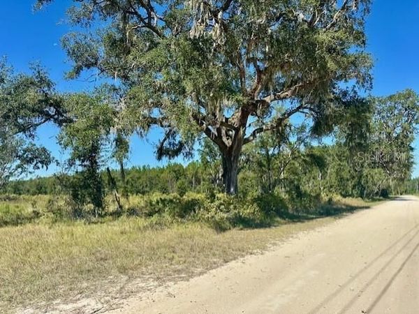 NE 35TH AVE, BRONSON, FL 32621