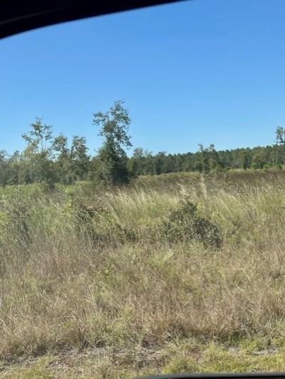 Ne 35th Ave, Bronson, FL 32621 Photo