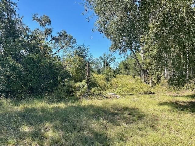 Ne 35th Ave, Bronson, FL 32621 Photo