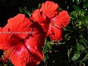 1815 Mooringline Dr, Unit 1, Vero Beach, FL 32963 Photo