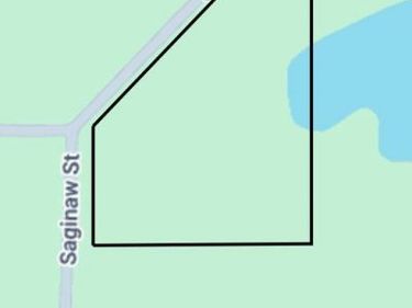 0 Saginaw St. Saginaw Street, Grant Twp, MI 48748