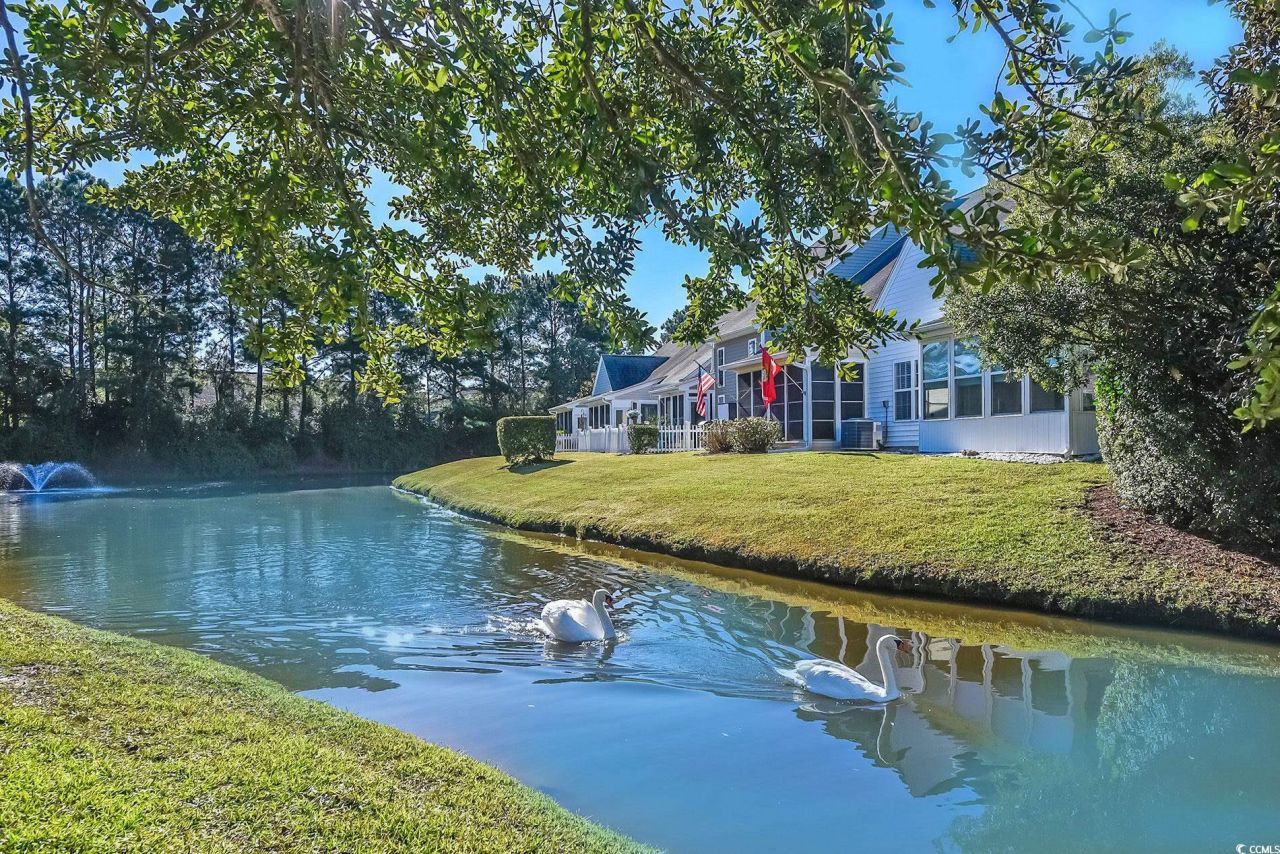 931 Williston Loop Photo 35