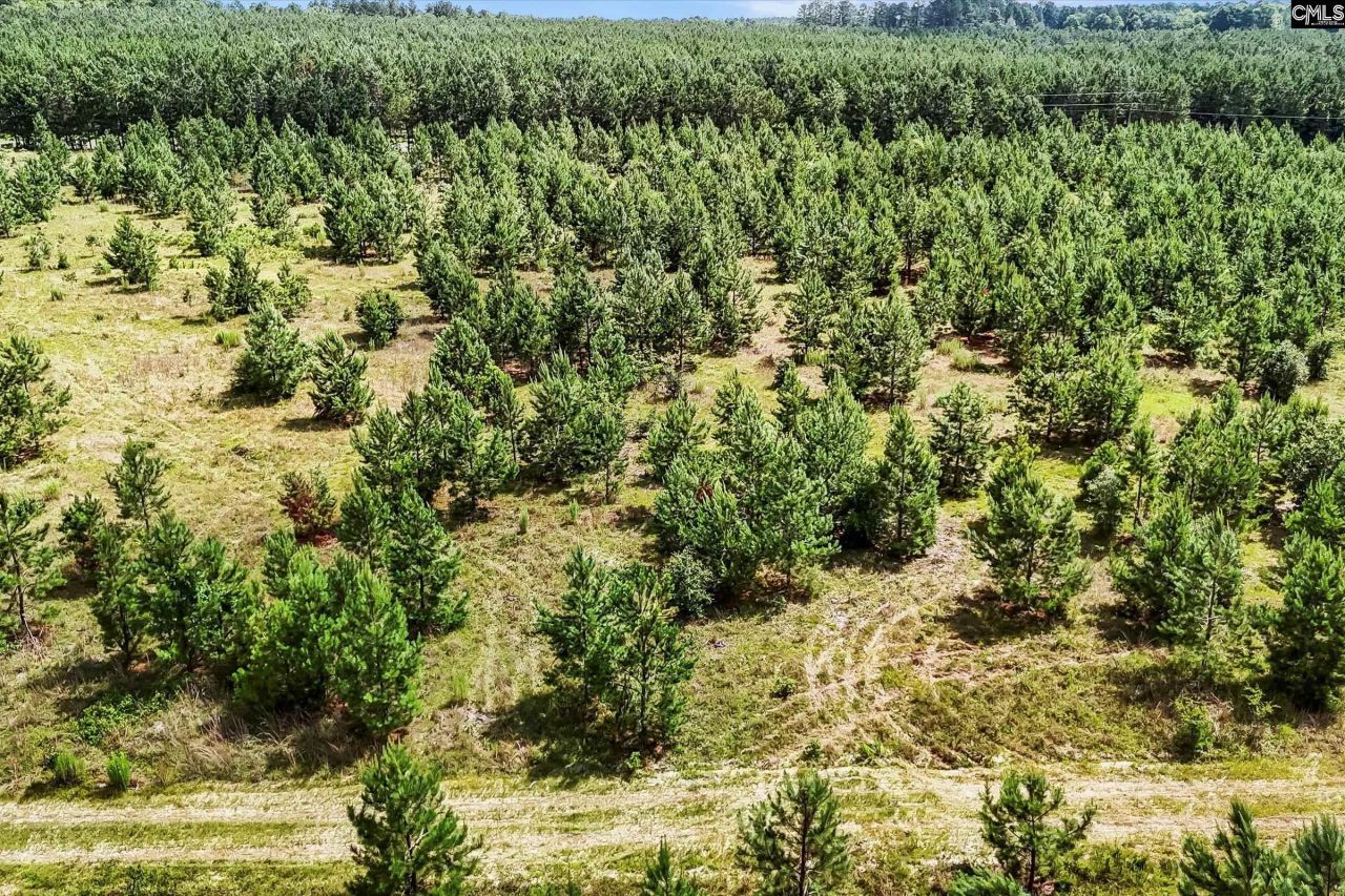 Lot 1 Old 96 Indian Trail Photo 13