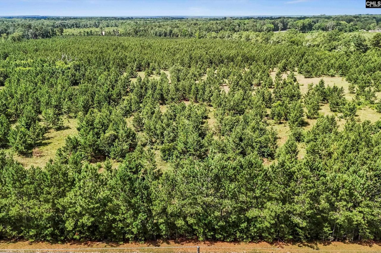 Lot 1 Old 96 Indian Trail Photo 14