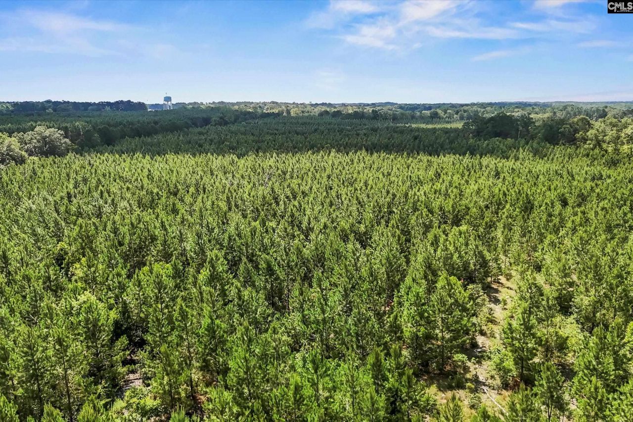 Lot 1 Old 96 Indian Trail Photo 17