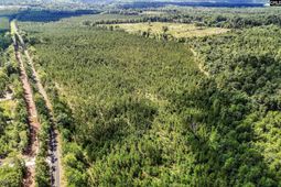 Lot 1 Old 96 Indian Trail photo 4