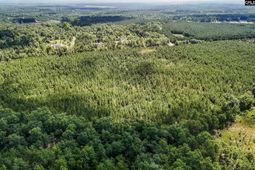 Lot 1 Old 96 Indian Trail photo 4