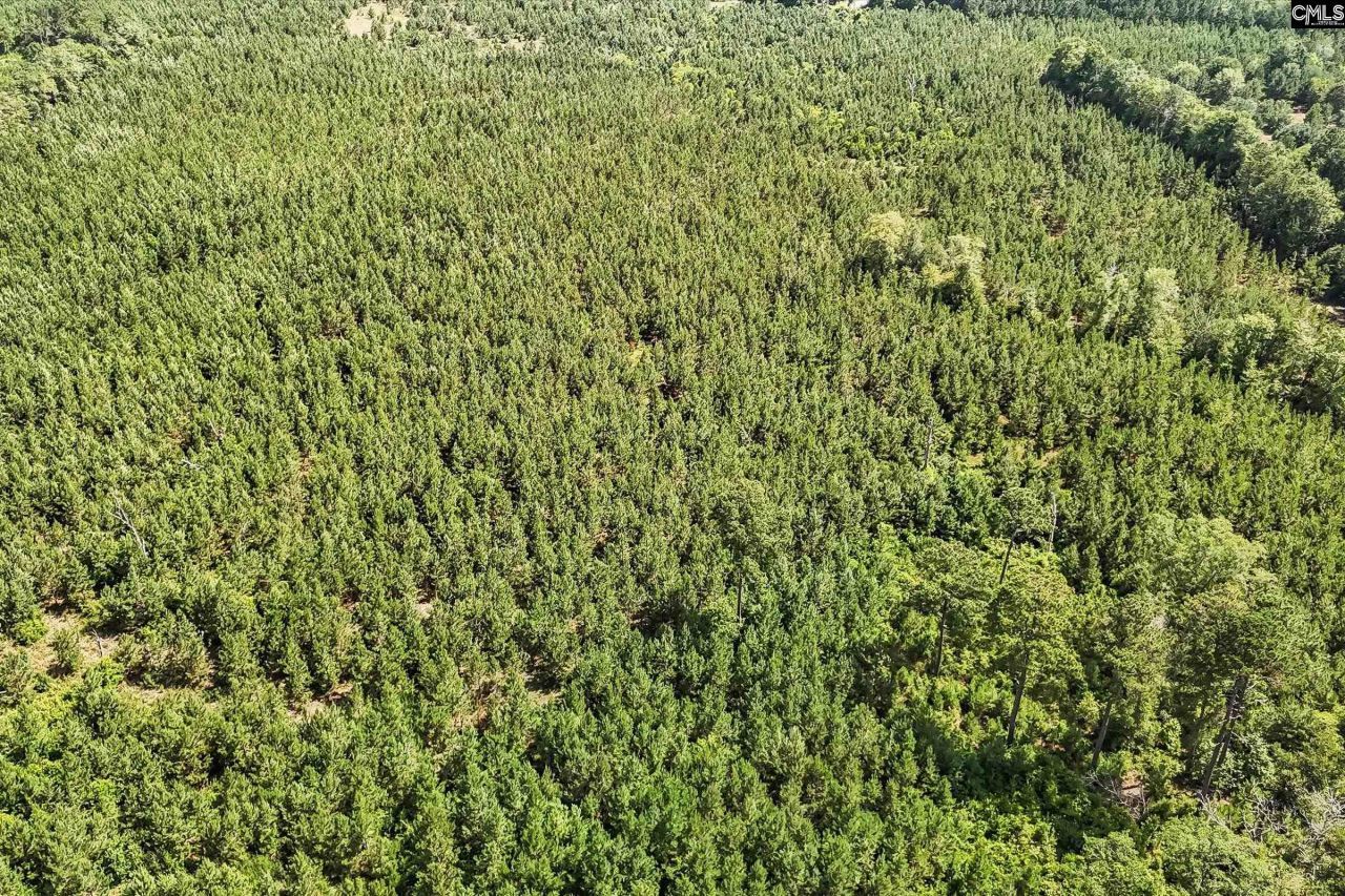 Lot 1 Old 96 Indian Trail Photo 8