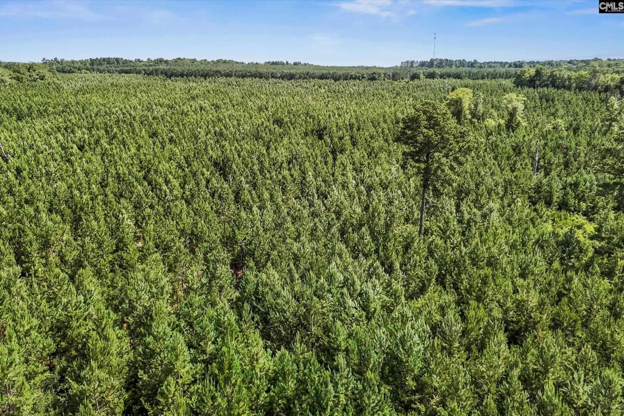 Lot 1 Old 96 Indian Trail Photo 9