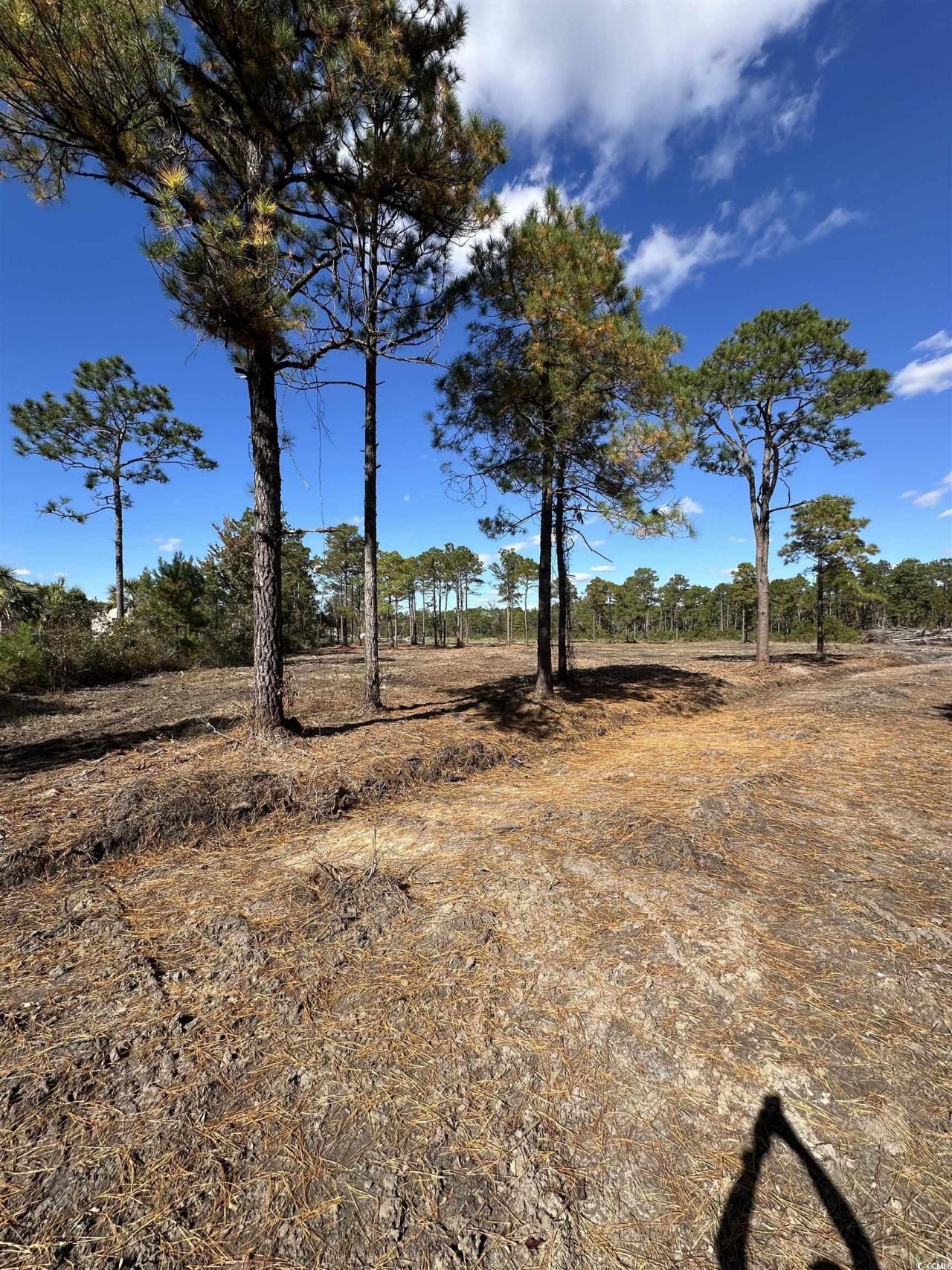 9201 Freewoods Rd. Photo 10