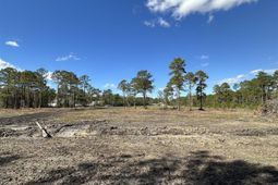 9201 Freewoods Rd. photo 4