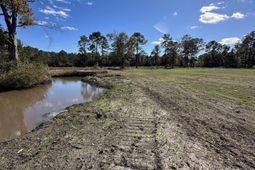 9201 Freewoods Rd. photo 4