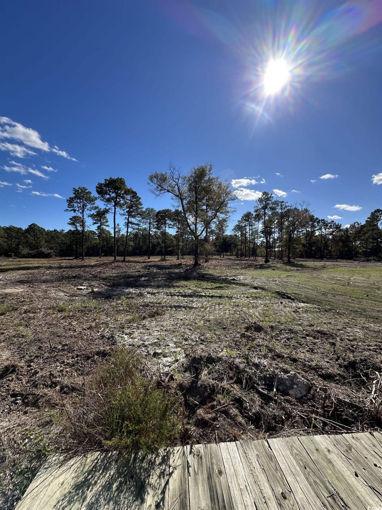 9201 Freewoods Rd. Photo 6