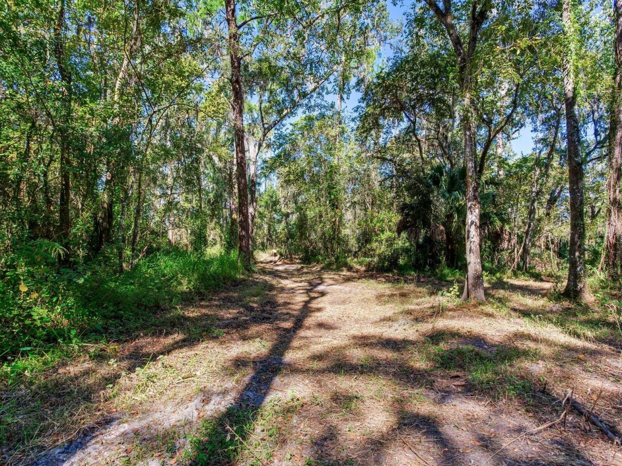 Drawdy Road, Plant City, FL 33567 Photo