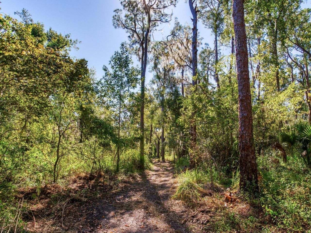 Drawdy Road, Plant City, FL 33567 Photo