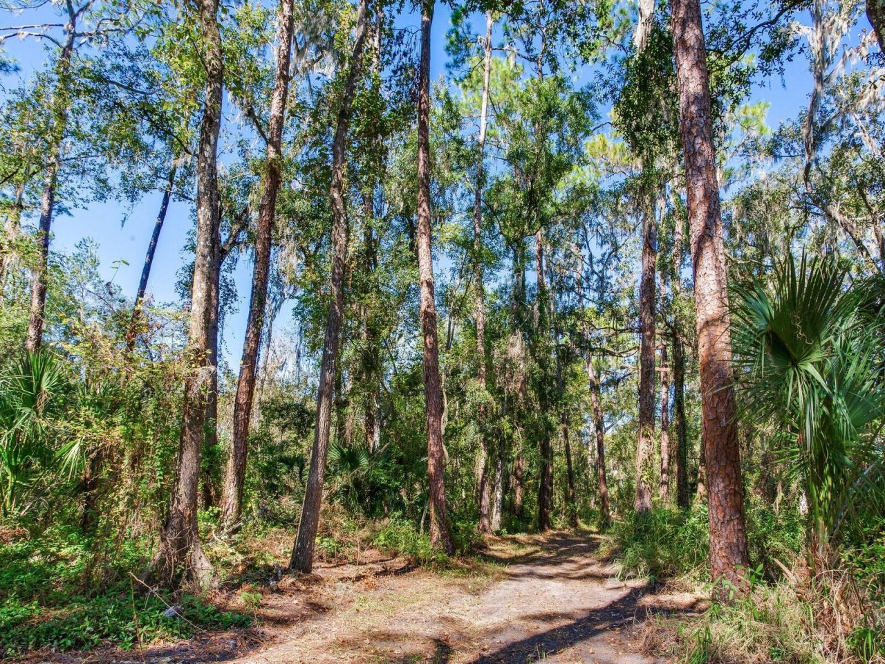 Drawdy Road, Plant City, FL 33567 Photo