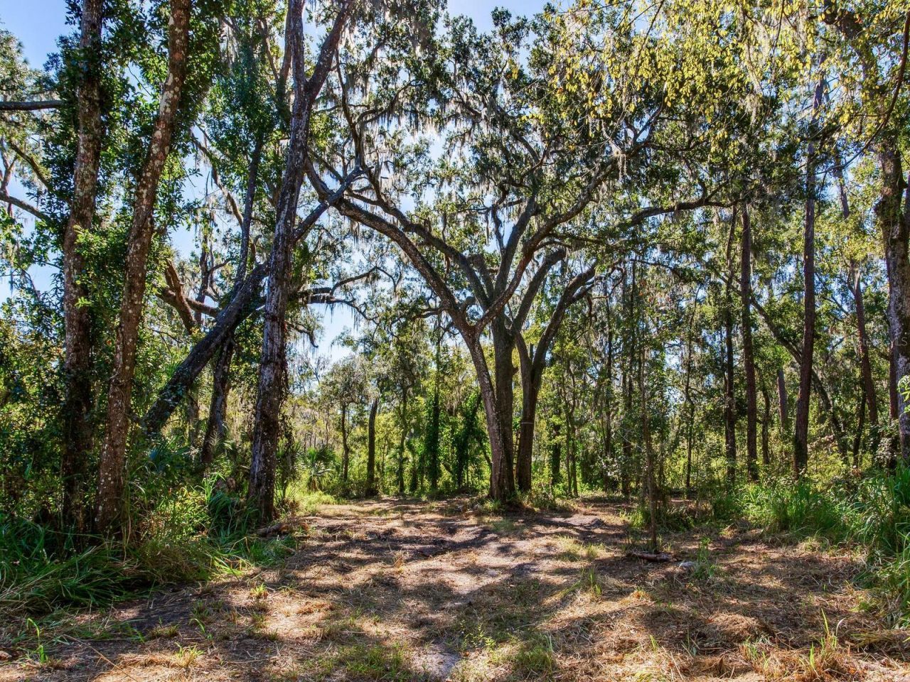 Drawdy Road, Plant City, FL 33567 Photo