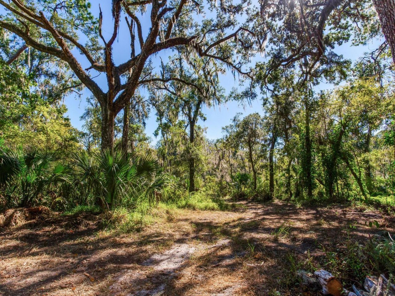 Drawdy Road, Plant City, FL 33567 Photo