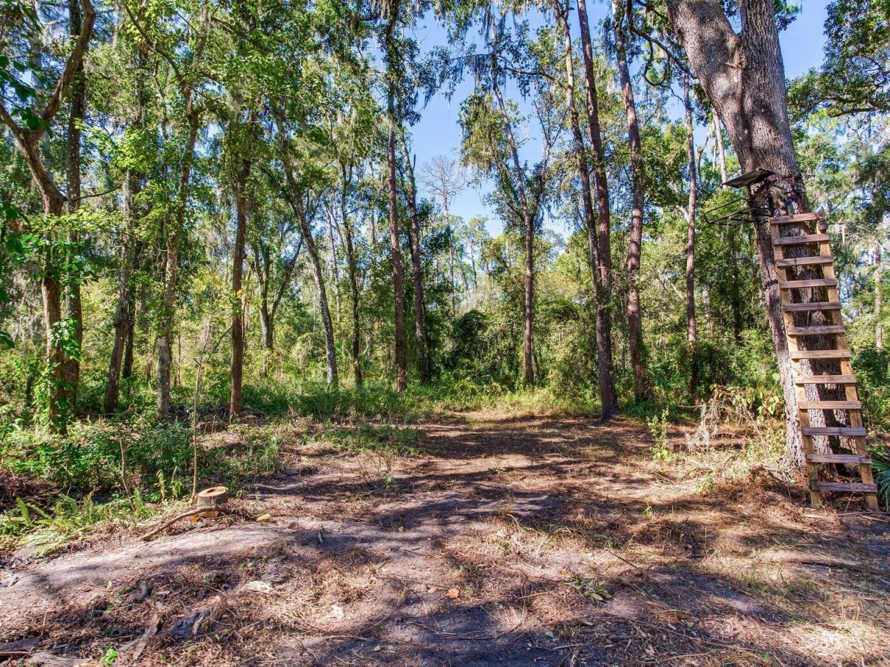 Drawdy Road, Plant City, FL 33567 Photo