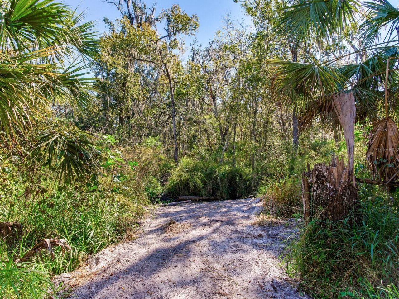 Drawdy Road, Plant City, FL 33567 Photo