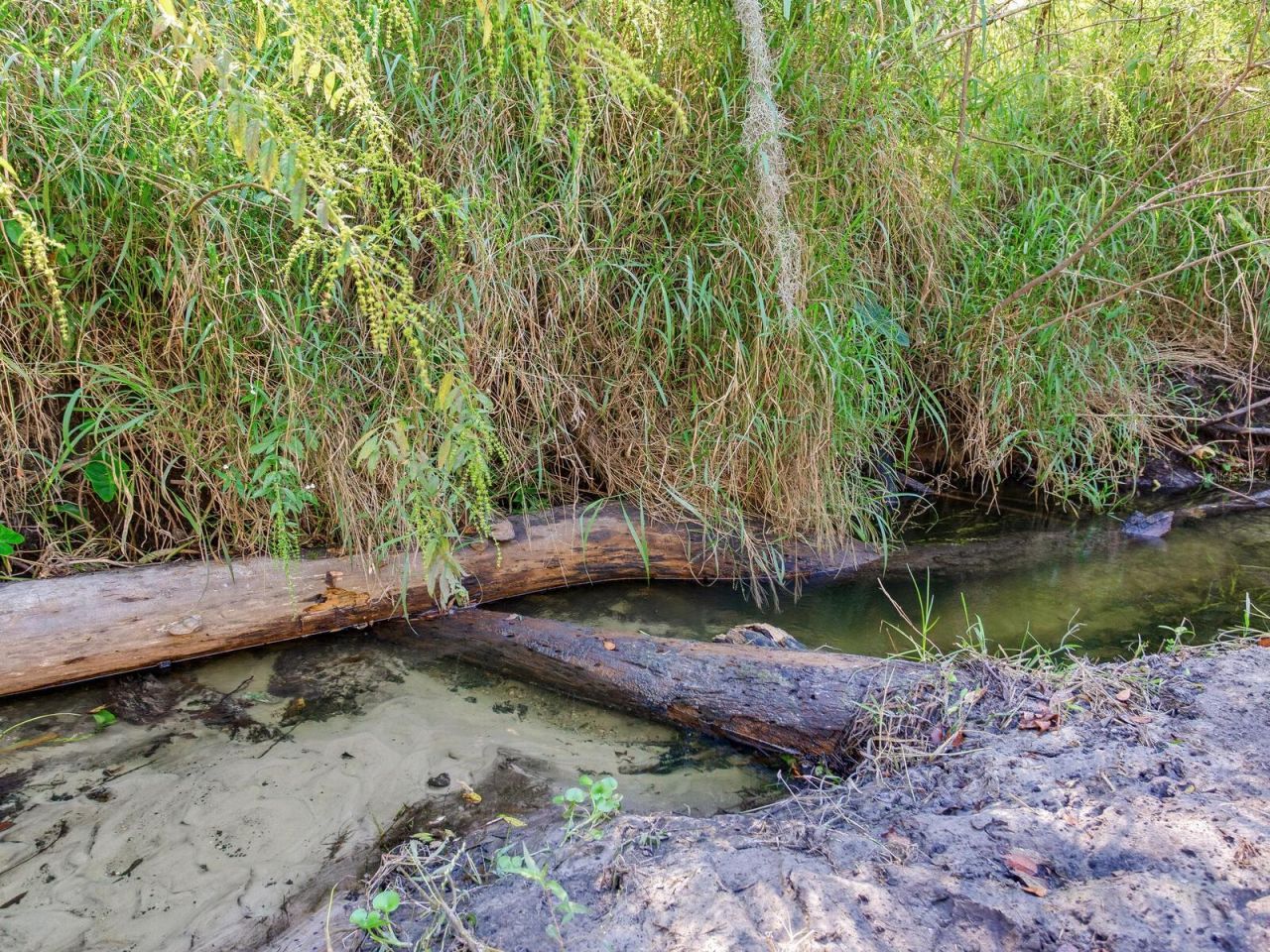 Drawdy Road, Plant City, FL 33567 Photo