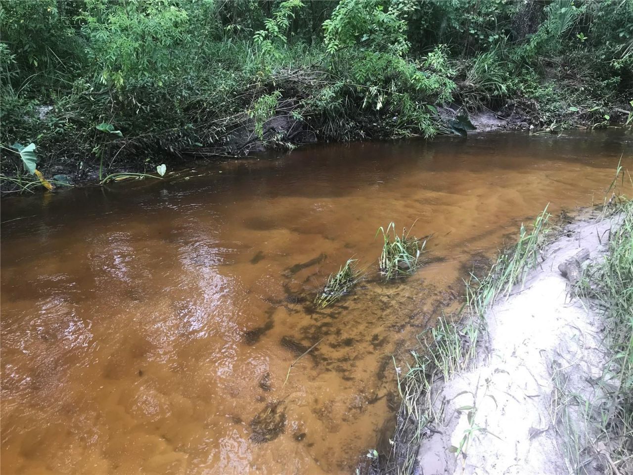 Drawdy Road, Plant City, FL 33567 Photo