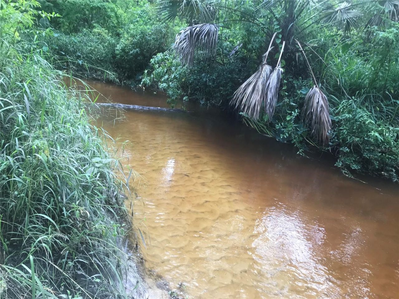 Drawdy Road, Plant City, FL 33567 Photo