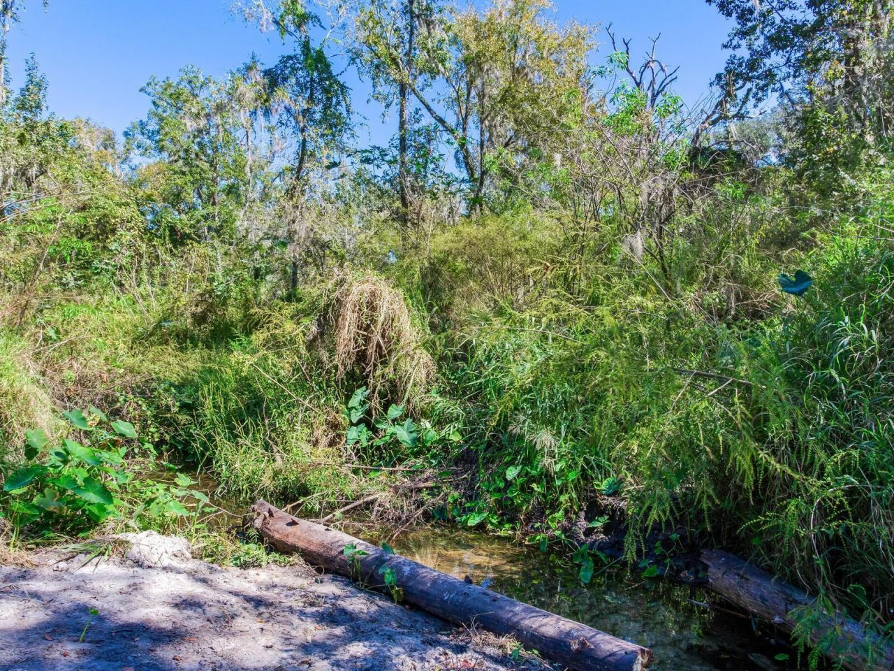 Drawdy Road, Plant City, FL 33567 Photo