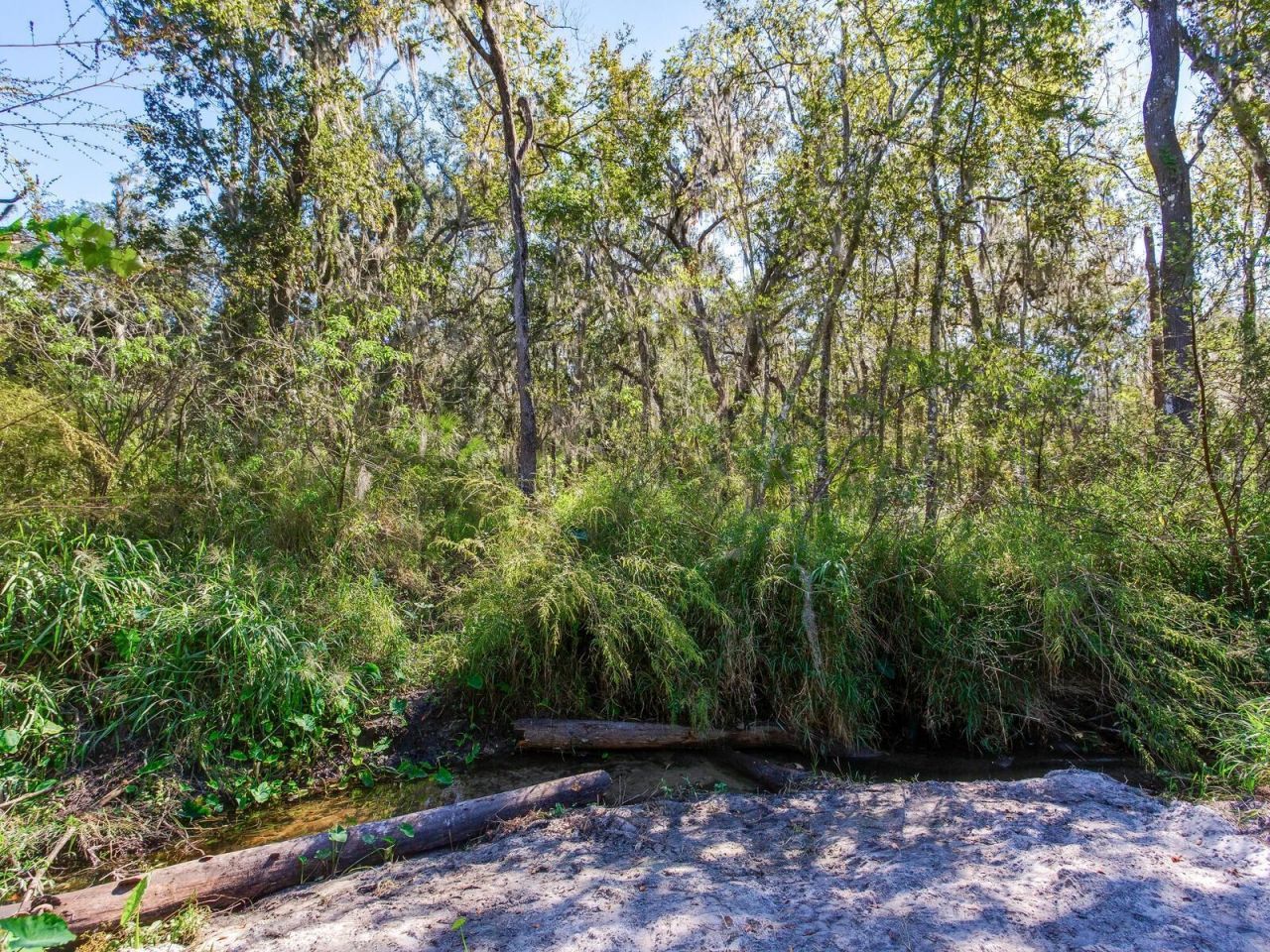 Drawdy Road, Plant City, FL 33567 Photo