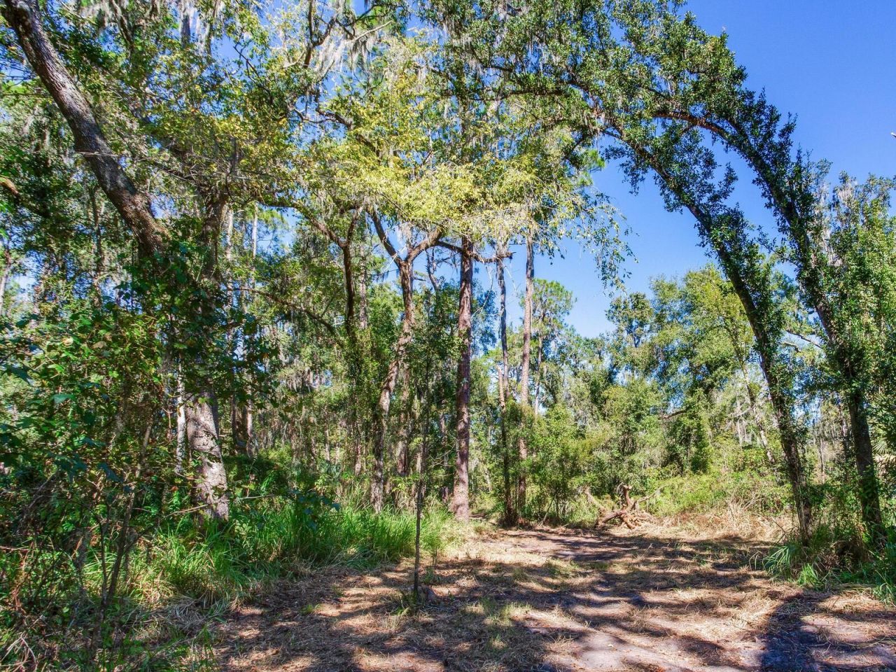 Drawdy Road, Plant City, FL 33567 Photo