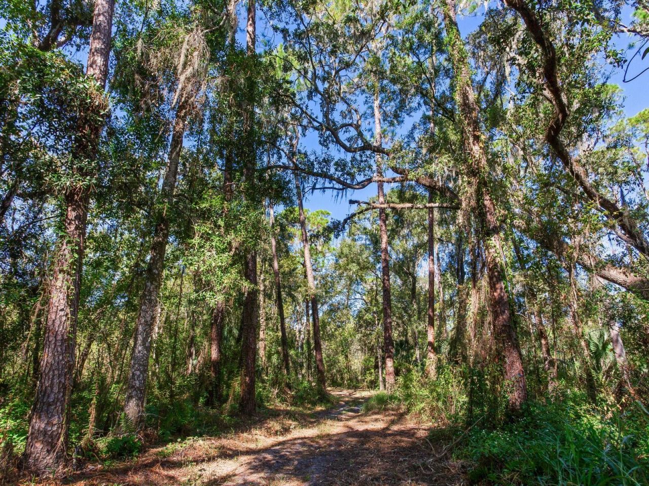 Drawdy Road, Plant City, FL 33567 Photo