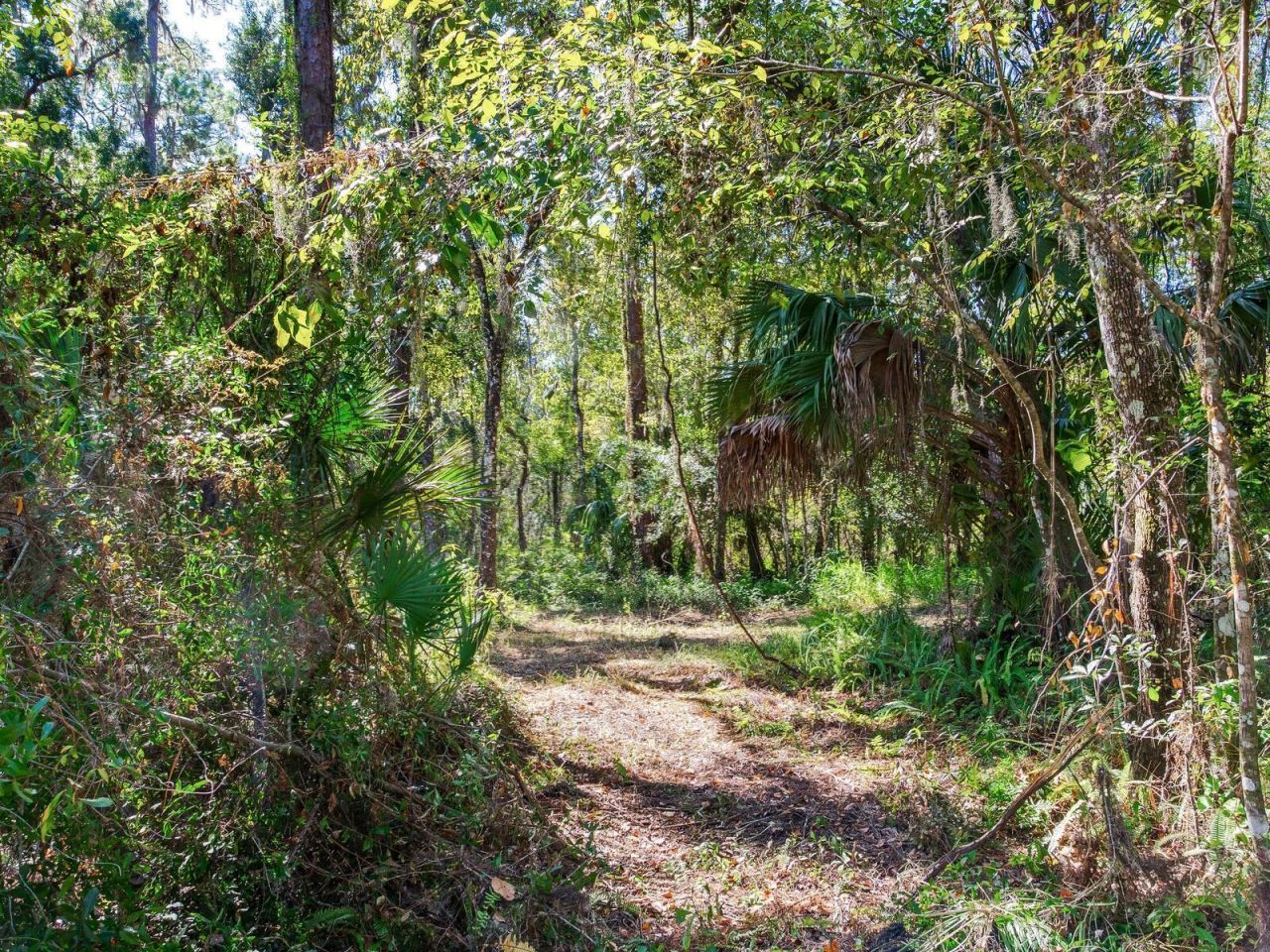 Drawdy Road, Plant City, FL 33567 Photo