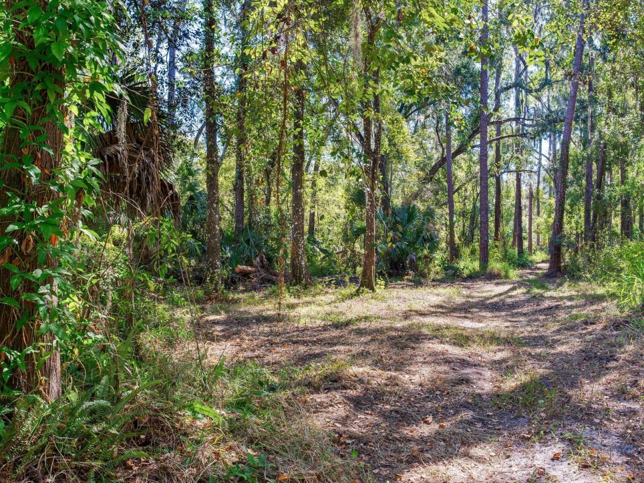 Drawdy Road, Plant City, FL 33567 Photo