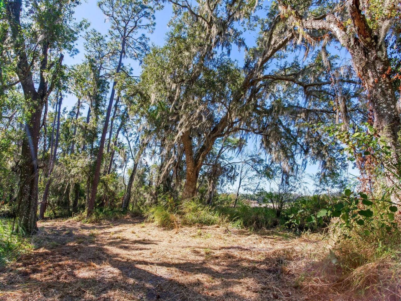 Drawdy Road, Plant City, FL 33567 Photo