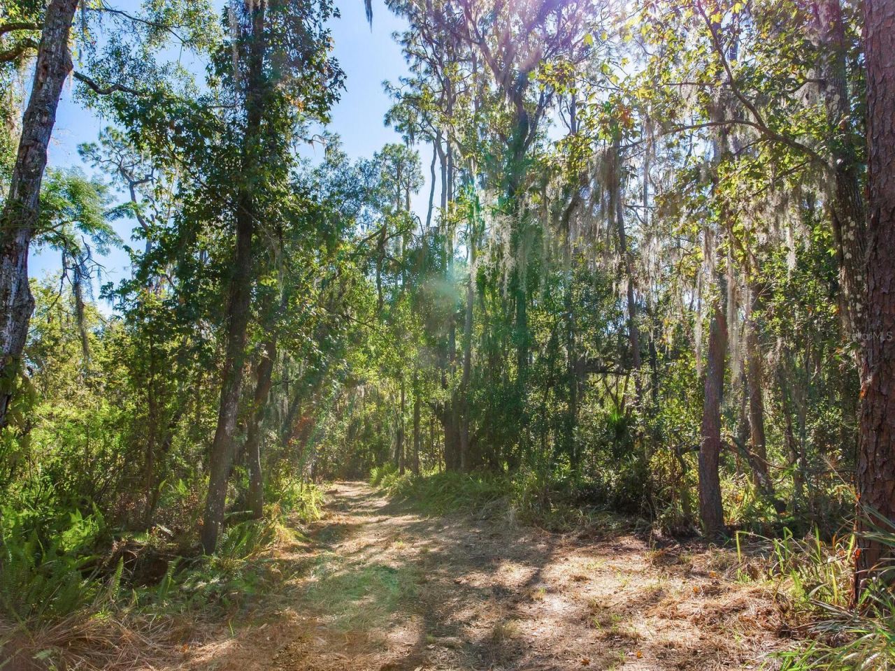 Drawdy Road, Plant City, FL 33567 Photo