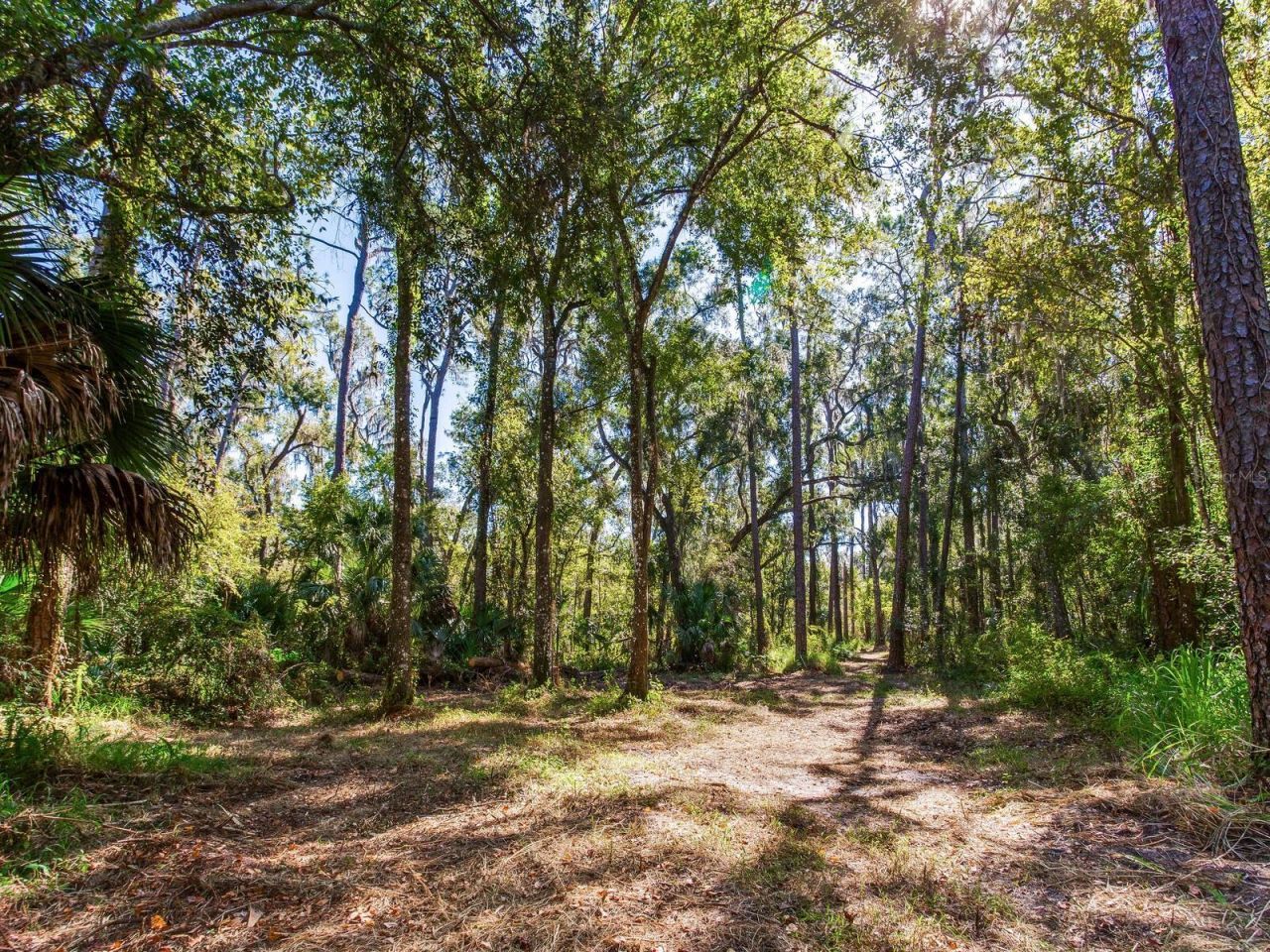 Drawdy Road, Plant City, FL 33567 Photo