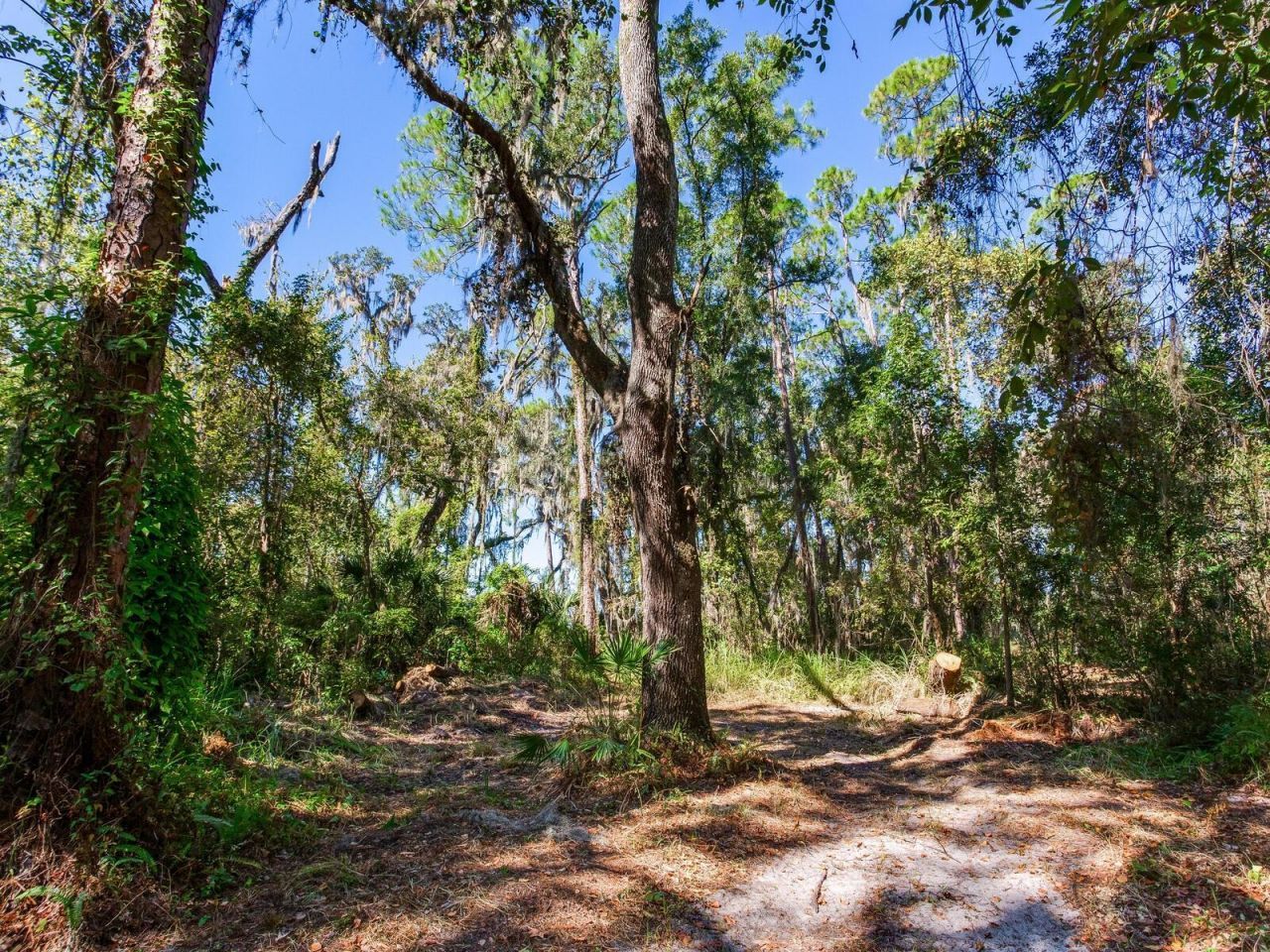 Drawdy Road, Plant City, FL 33567 Photo