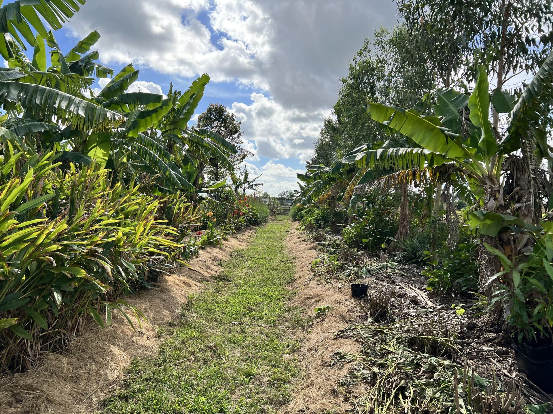 20915 Antoinette Street, Loxahatchee, FL 33470 Photo
