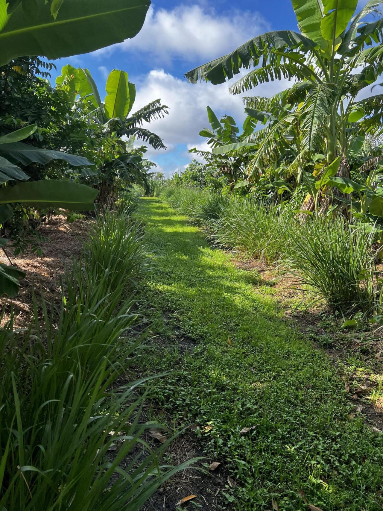 20915 Antoinette Street, Loxahatchee, FL 33470 Photo