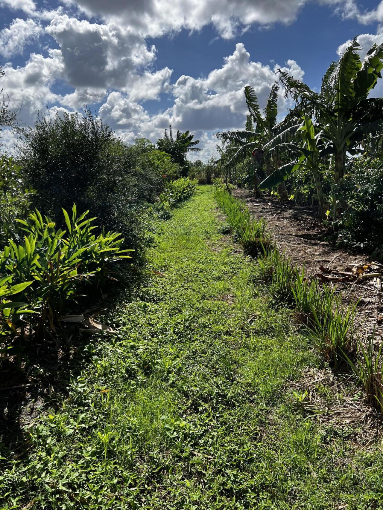 20915 Antoinette Street, Loxahatchee, FL 33470 Photo