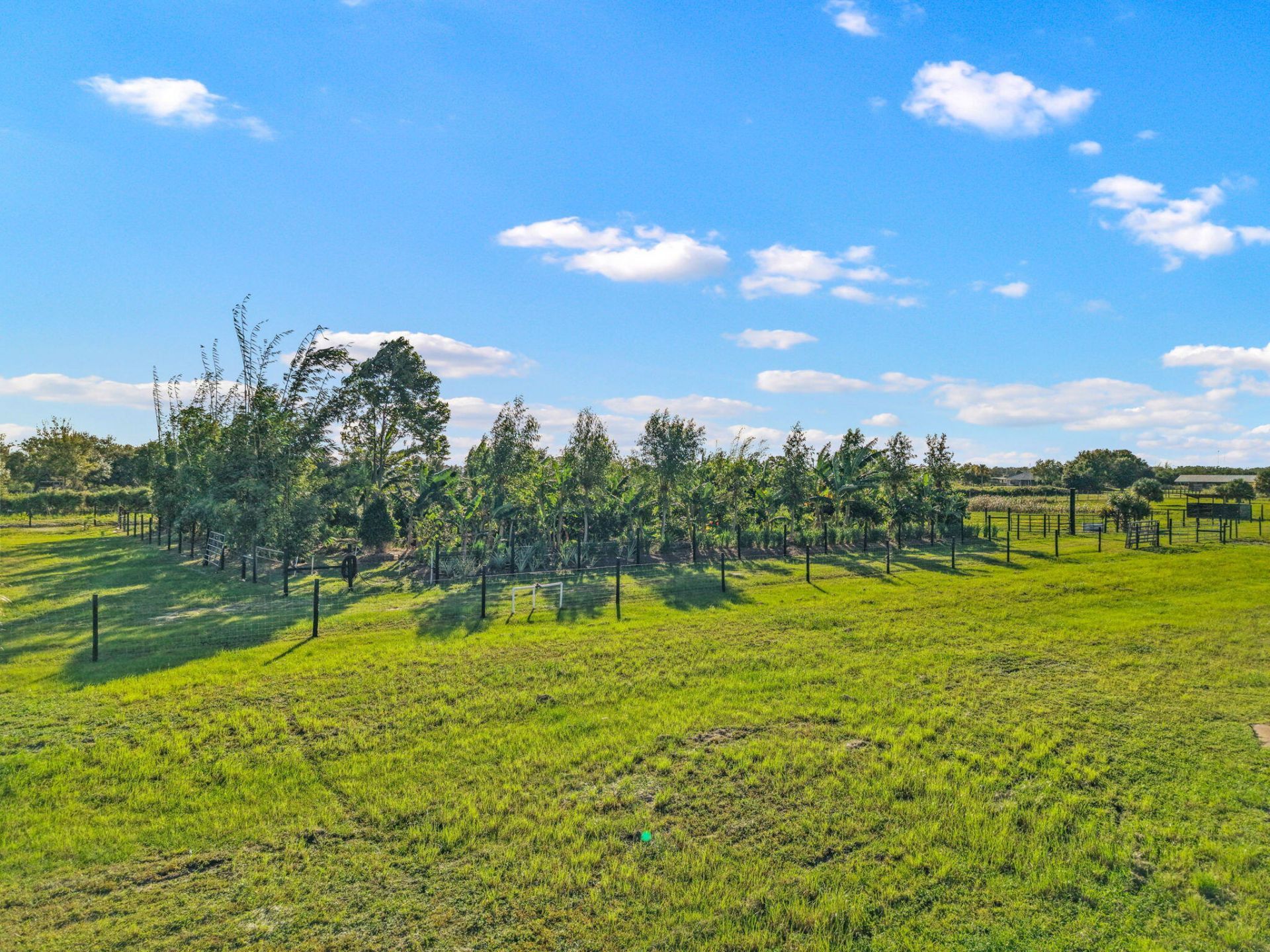 20915 Antoinette Street, Loxahatchee, FL 33470 Photo